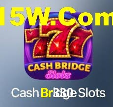 Explore as vantagens do Br330: serviço profissional e confiabilidade